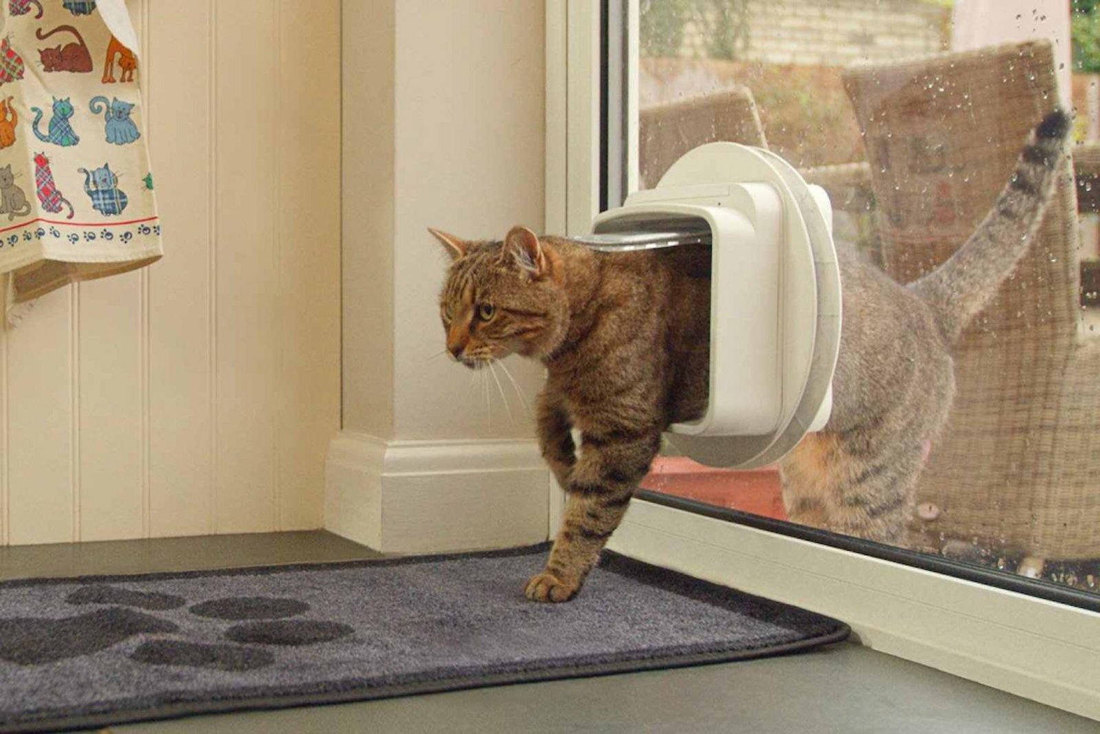 cat flap installation